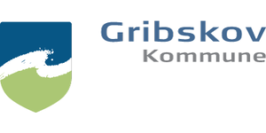 Chef for Koncernstyring